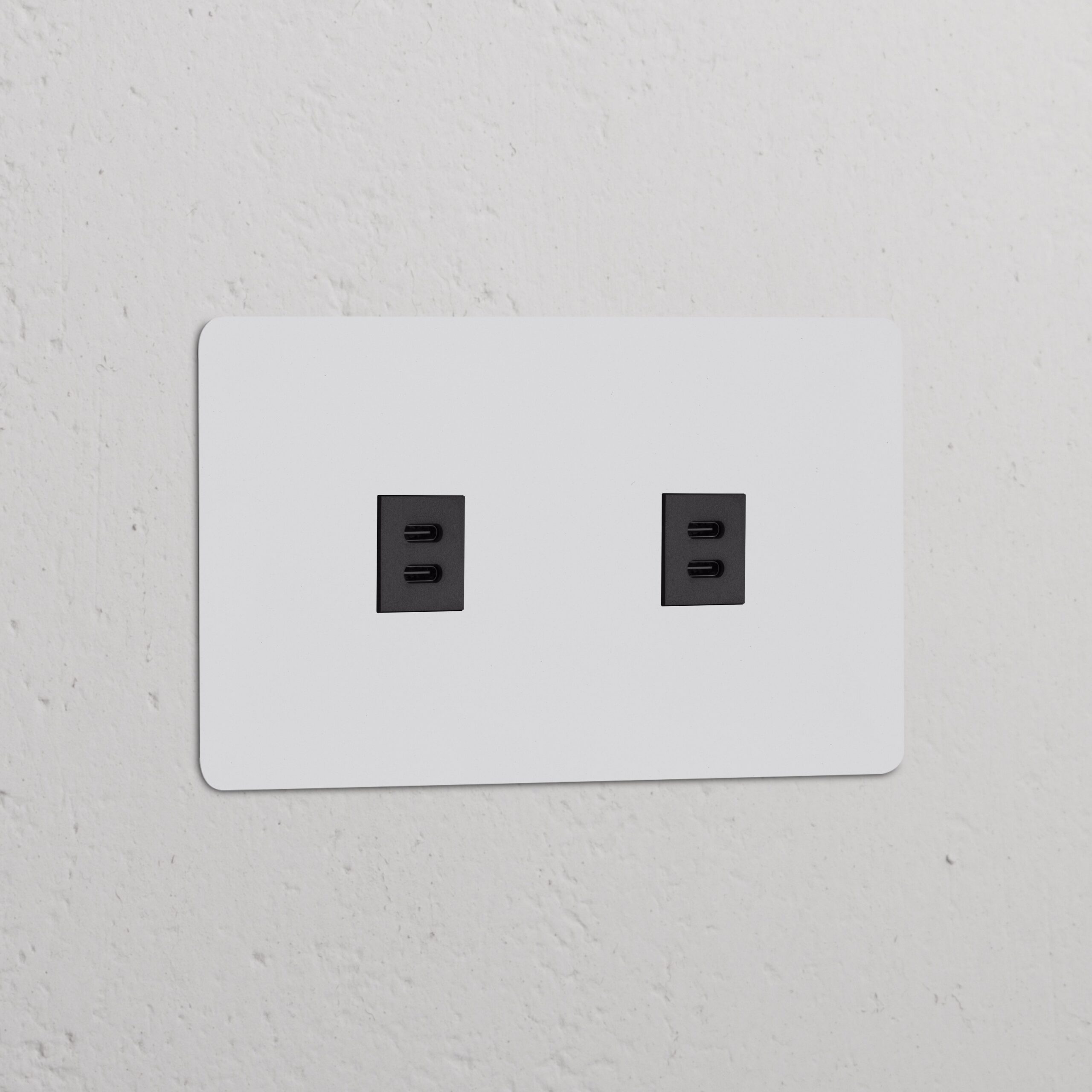 Kew Gniazdo USB-C 30 W x 2 w podwójnej ramce – Do malowania, Czarny