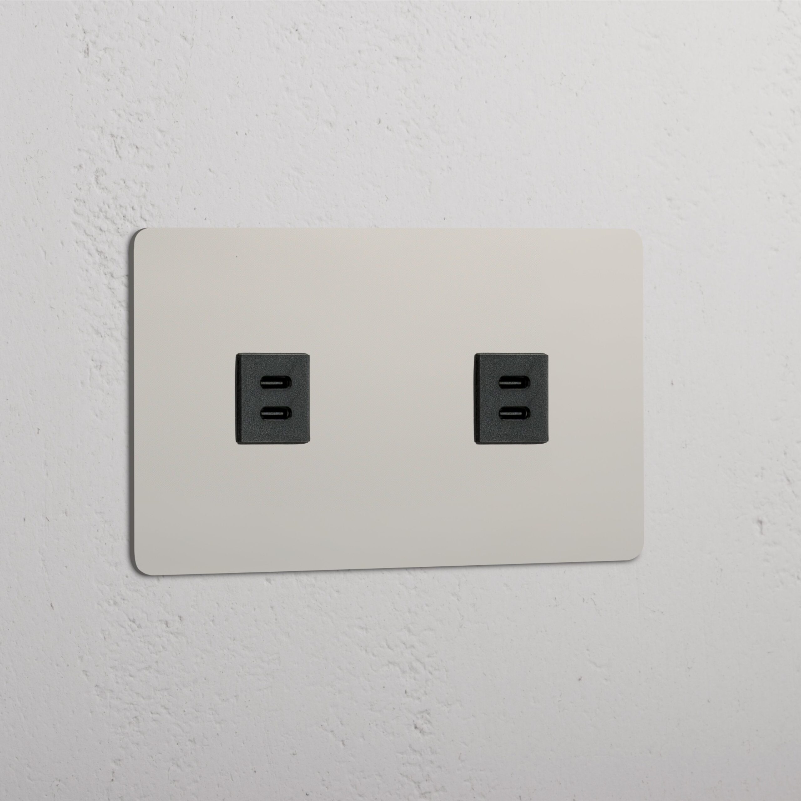 Kew Gniazdo USB-C 30 W x 2 w podwójnej ramce – Polerowany nikiel, Czarny